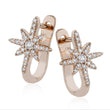 Load image into Gallery viewer, ZE714 Earring in 14k Gold with Diamonds