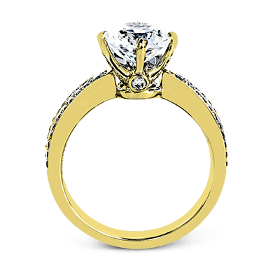 ZR1244 WHITE 14K SEMI YELLOW 2
