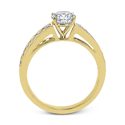 ZR2093 WHITE 14K SEMI YELLOW 2
