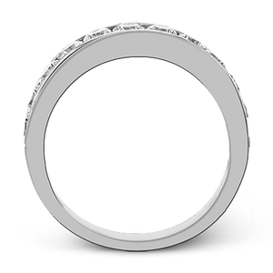 ZR20 WHITE PLAT BAND 2