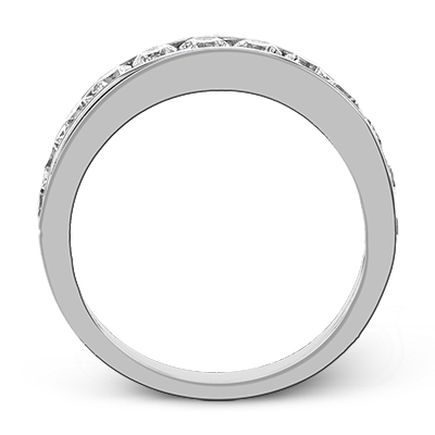 ZR20 WHITE PLAT BAND 2